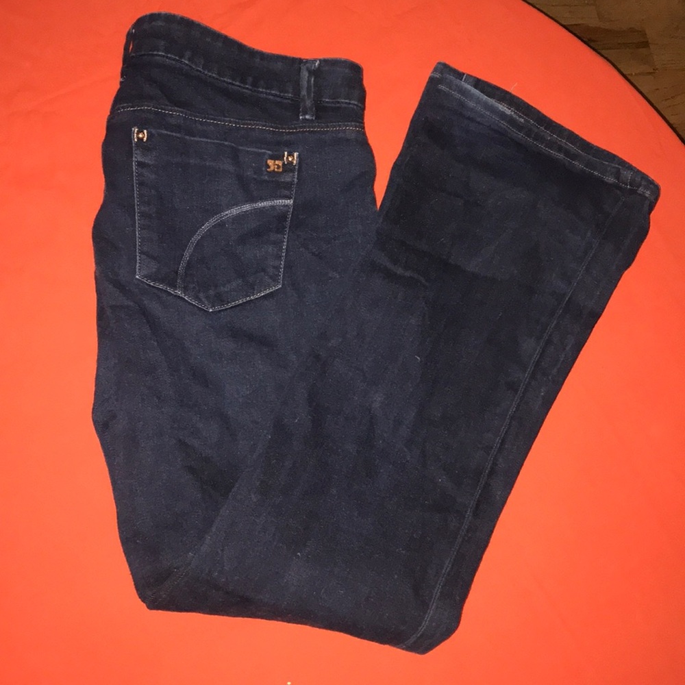 Size 29 Women’s Joes Jeans
